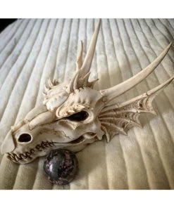 Nemesis Now All Homeware The Last Dragon Skull 32cm