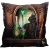 Puckator Lisa Parker Absinthe Cat Cushion