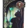 Nemesis Now Lisa Parker Absinthe Embossed Purse All Bags