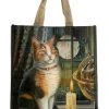 Puckator All Bags Lisa Parker Adventure Awaits Cat Shopping Bag