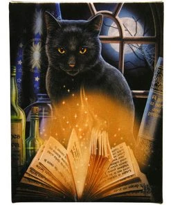 Something Different Lisa Parker Bewitched Gothic Cat Picture