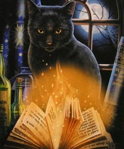 Something Different Lisa Parker Bewitched Gothic Cat Picture