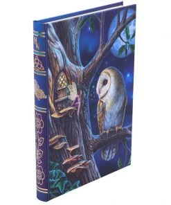 Nemesis Now Lisa Parker Fairy Tales Journal