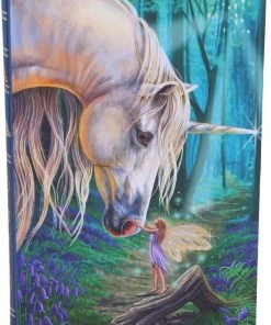 Nemesis Now All Homeware Lisa Parker Fairy Whispers Journal