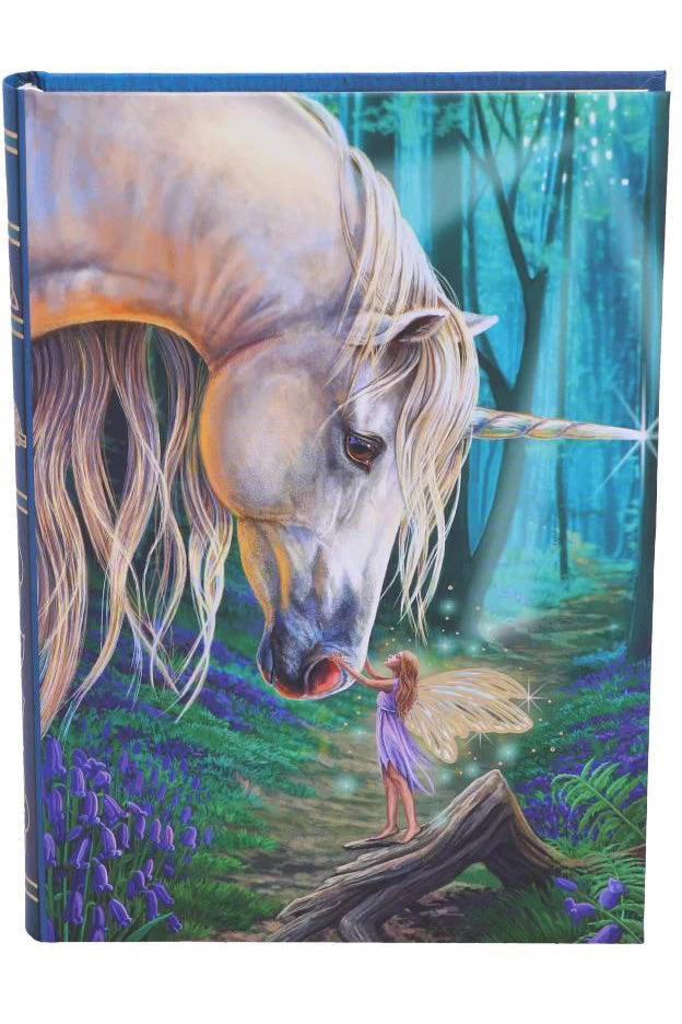 Nemesis Now All Homeware Lisa Parker Fairy Whispers Journal 3 Nemesis Now All Homeware Lisa Parker Fairy Whispers Journal