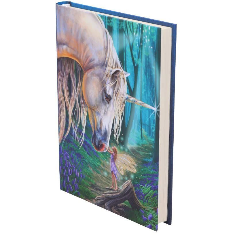 Nemesis Now All Homeware Lisa Parker Fairy Whispers Journal 4 Nemesis Now All Homeware Lisa Parker Fairy Whispers Journal