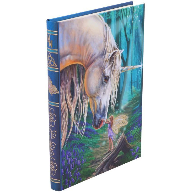 Nemesis Now All Homeware Lisa Parker Fairy Whispers Journal 6 Nemesis Now All Homeware Lisa Parker Fairy Whispers Journal