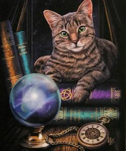 Something Different Lisa Parker Fortune Teller Picture