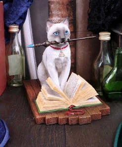 Nemesis Now Lisa Parker Hocus Pocus Figurine