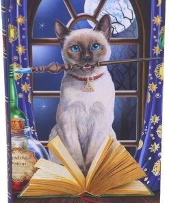 Nemesis Now Lisa Parker Hocus Pocus Journal