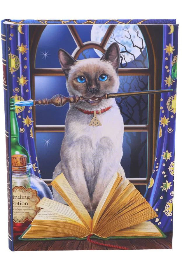 Nemesis Now Lisa Parker Hocus Pocus Journal 3 Nemesis Now Lisa Parker Hocus Pocus Journal