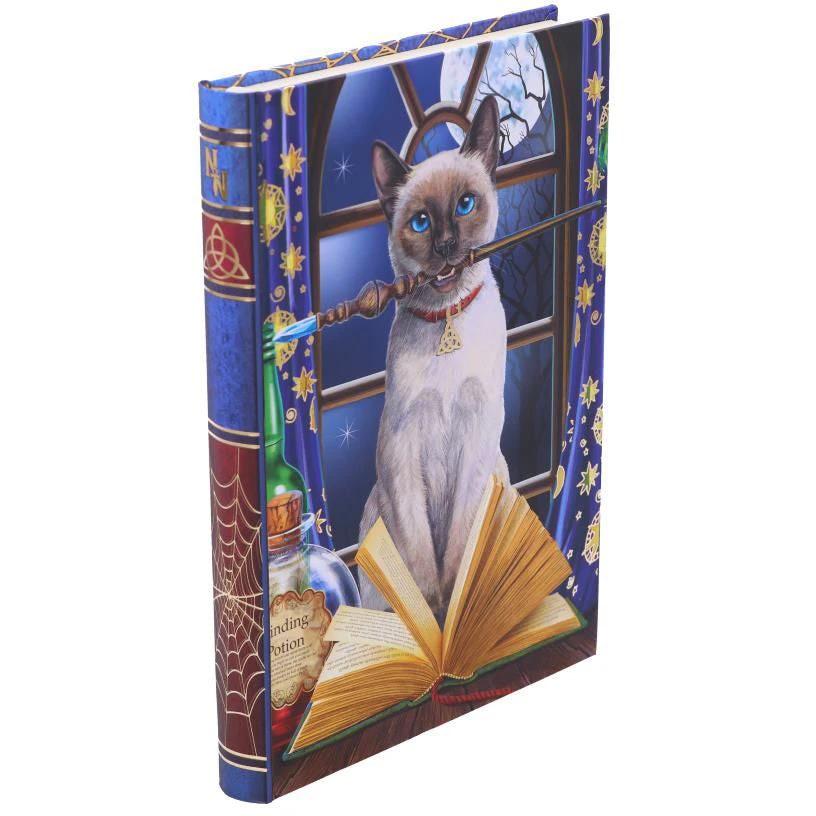 Nemesis Now Lisa Parker Hocus Pocus Journal 5 Nemesis Now Lisa Parker Hocus Pocus Journal