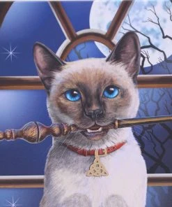 Nemesis Now Lisa Parker Hocus Pocus Journal 12 Nemesis Now Lisa Parker Hocus Pocus Journal