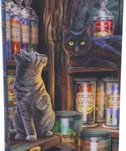 Nemesis Now Lisa Parker Magical Emporium Journal