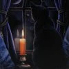 Something Different Lisa Parker Midnight Vigil Picture All Homeware