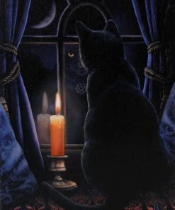 Something Different Lisa Parker Midnight Vigil Picture All Homeware