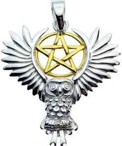 Lisa Parker Jewellery All Jewellery Lisa Parker Owl Pentagram Pendant Silver