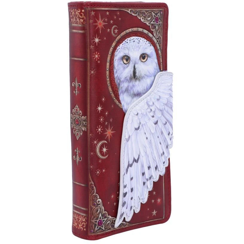 Nemesis Now Magical Flight Embossed Purse All Bags 6 Nemesis Now Magical Flight Embossed Purse All Bags