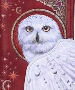 Nemesis Now Magical Flight Embossed Purse All Bags 13 Nemesis Now Magical Flight Embossed Purse All Bags