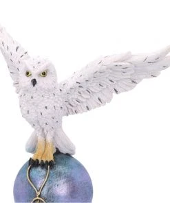 Nemesis Now Magick Flight