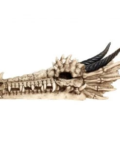 Nemesis Now Draco Skull Incense Holder All Homeware 7 Nemesis Now Draco Skull Incense Holder All Homeware