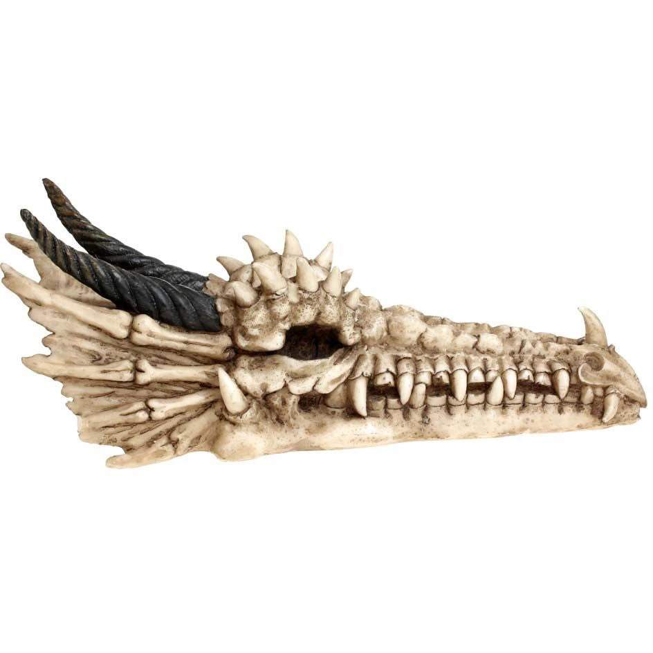 Nemesis Now Draco Skull Incense Holder All Homeware 5 Nemesis Now Draco Skull Incense Holder All Homeware