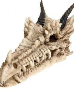 Nemesis Now Draco Skull Incense Holder All Homeware 9 Nemesis Now Draco Skull Incense Holder All Homeware