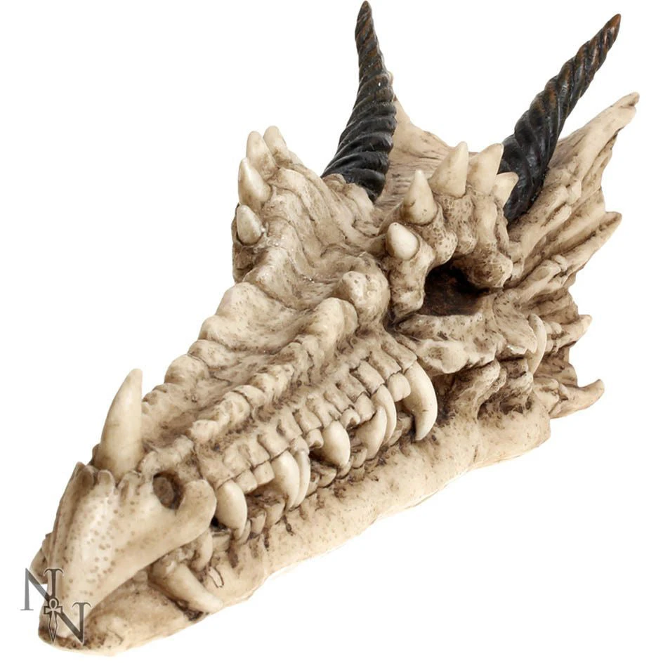 Nemesis Now Draco Skull Incense Holder All Homeware 6 Nemesis Now Draco Skull Incense Holder All Homeware