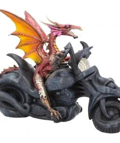 Nemesis Now All Homeware Born To Ride Dragon