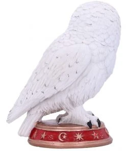 Nemesis Now Wizard's Familiar Owl Figurine All Homeware