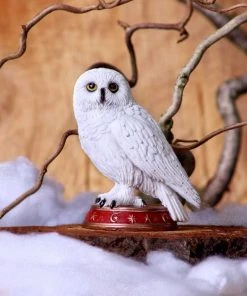 Nemesis Now Wizard's Familiar Owl Figurine All Homeware