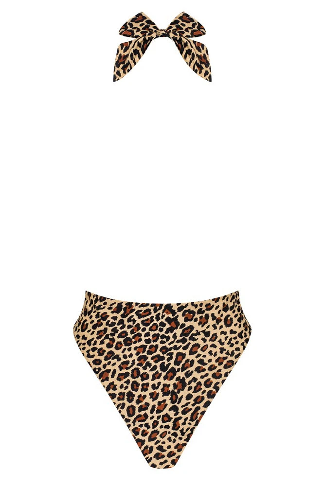 Obsessive Leopard Swimsuit All Ladies Clothing 6 Obsessive Leopard Swimsuit All Ladies Clothing