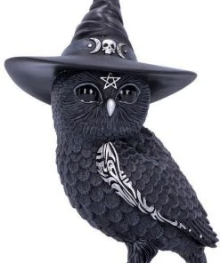 Nemesis Now All Homeware Owlocen And Purrah