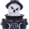 Nemesis Now Owl's Brew All Homeware