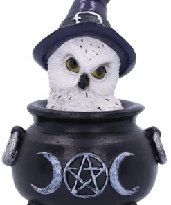Nemesis Now Owl's Brew All Homeware