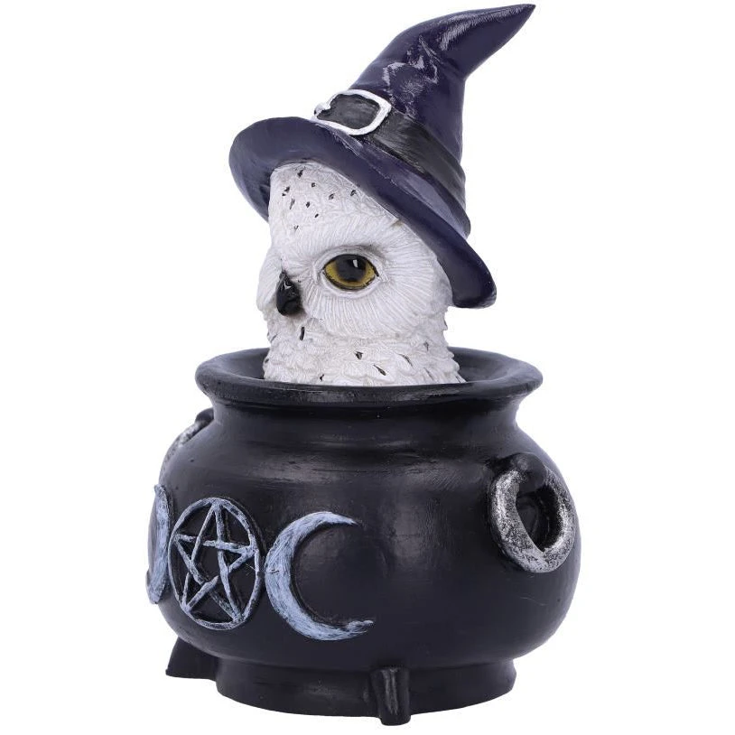 Nemesis Now Owl's Brew All Homeware 4 Nemesis Now Owl's Brew All Homeware