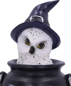 Nemesis Now Owl's Brew All Homeware 14 Nemesis Now Owl's Brew All Homeware