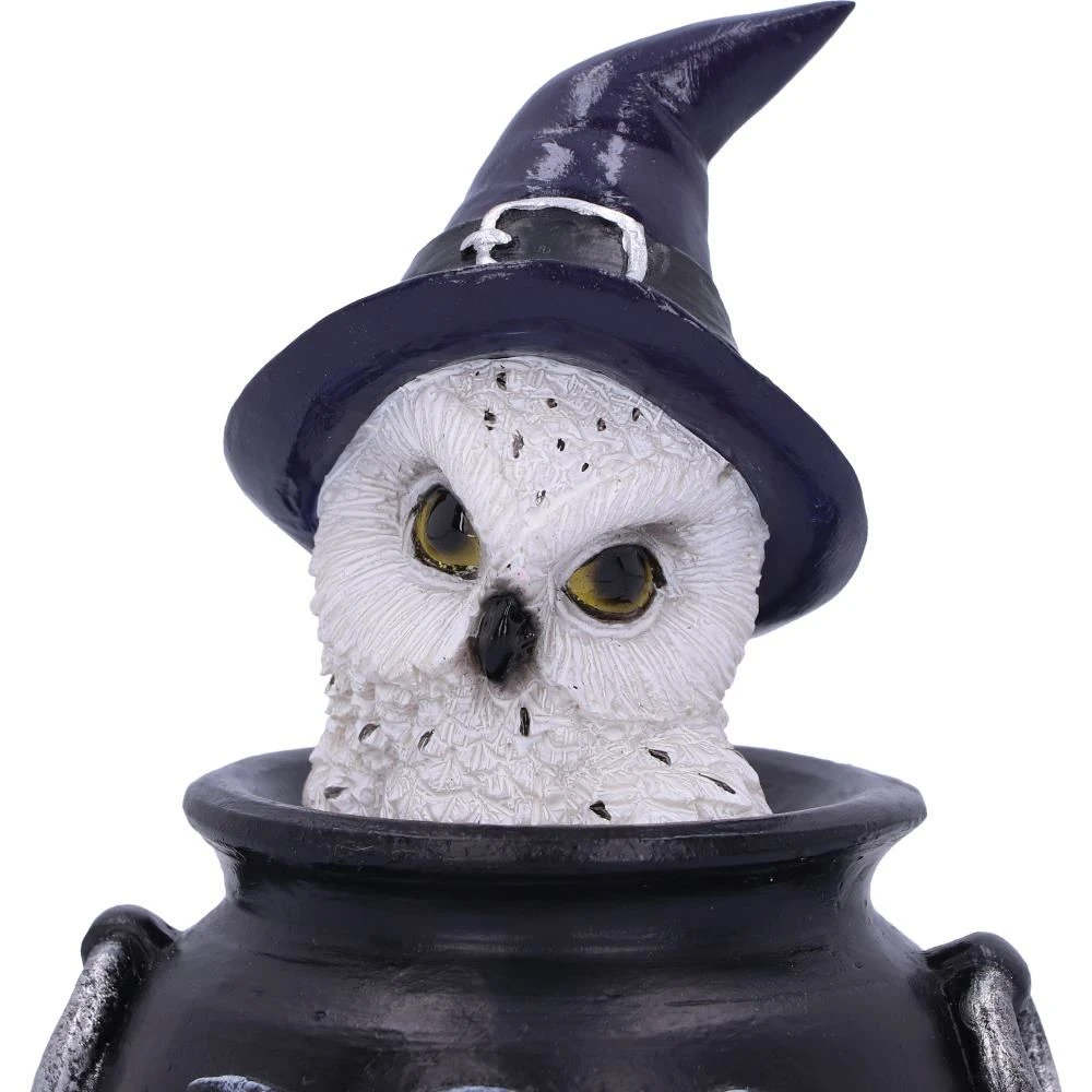 Nemesis Now Owl's Brew All Homeware 8 Nemesis Now Owl's Brew All Homeware