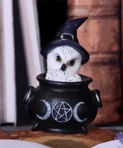 Nemesis Now Owl's Brew All Homeware 15 Nemesis Now Owl's Brew All Homeware