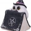 Nemesis Now Owl's Spell Figurine 2 Nemesis Now Owl's Spell Figurine