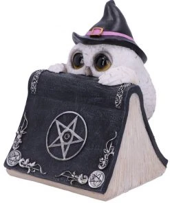 Nemesis Now Owl's Spell Figurine