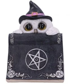 Nemesis Now Owl's Spell Figurine