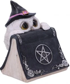 Nemesis Now Owl's Spell Figurine