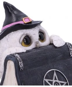 Nemesis Now Owl's Spell Figurine