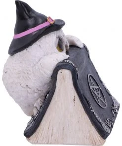 Nemesis Now Owl's Spell Figurine