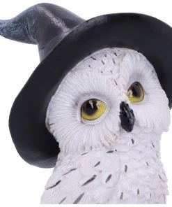 Nemesis Now All Homeware Owl's Talisman