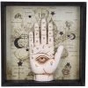 Nemesis Now All Homeware Palmistry Companion Wall Art