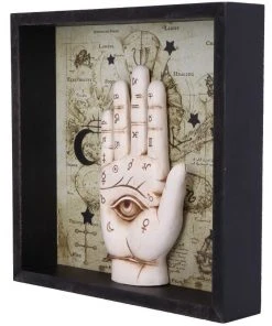 Nemesis Now All Homeware Palmistry Companion Wall Art
