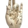Nemesis Now Palmistry Hand Steampunk Homeware