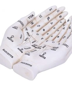 Nemesis Now Palmists Guide White Tealight Holder